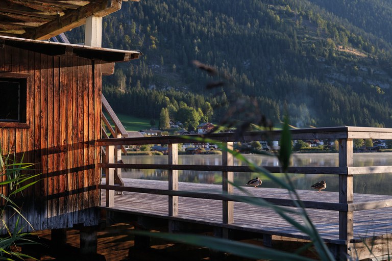 Landhaus #53