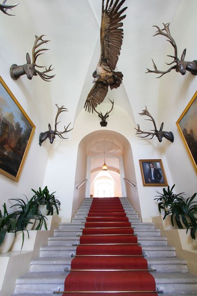 Palace #20
