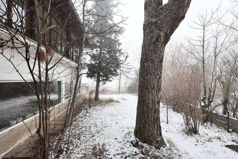 Haus #167